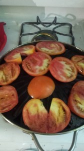 20150802_155138_20234192712_o