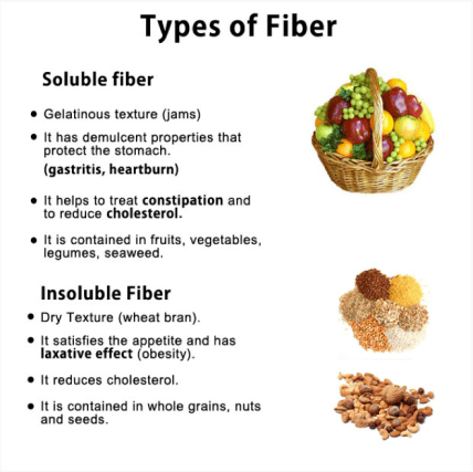 typesoffiber.png