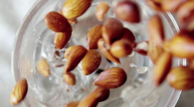 Homemade Plant-Milk, Nuts and More