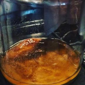 54238031_651425271981527_7071608778535210874_n(1)